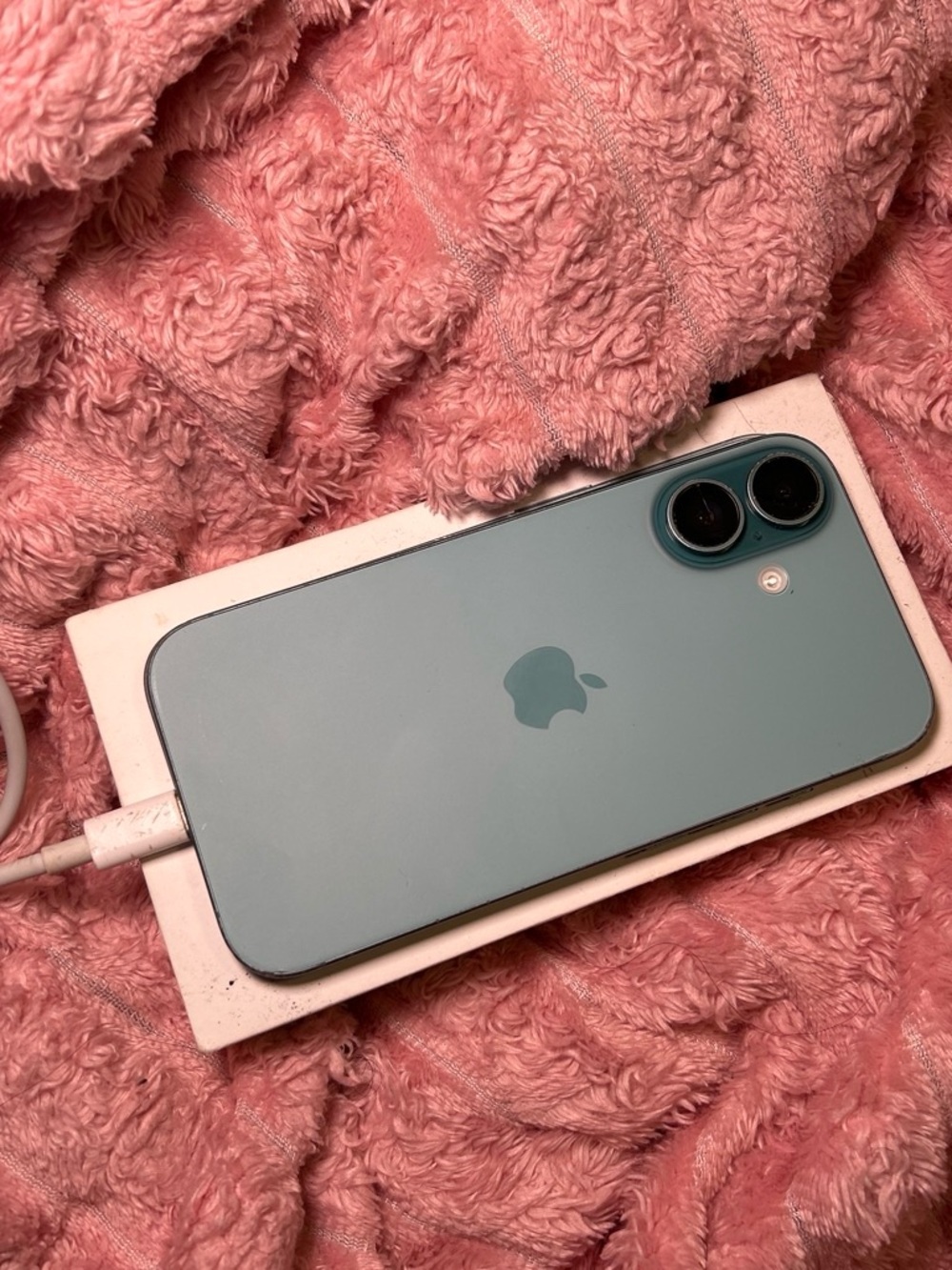 Apple iPhone in Seafoam Green with Dual Cameras